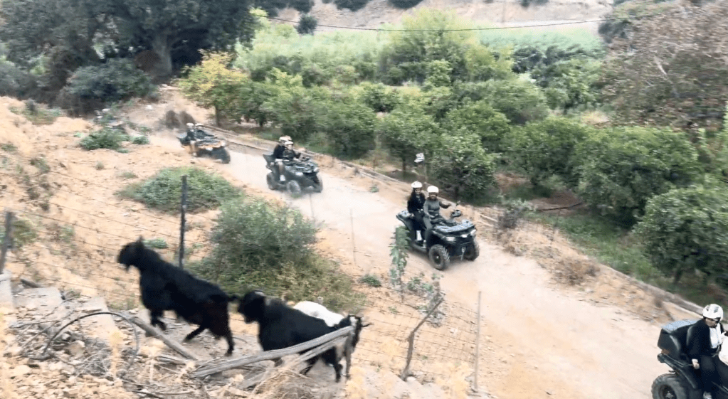 quad bikes while on route and near two little goats